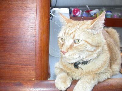 DSCN2111.JPG