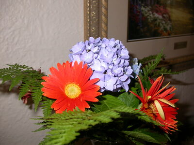 DSCN2400.jpg