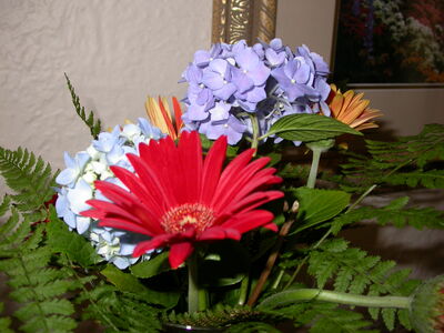 DSCN2401.jpg