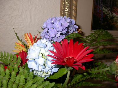 DSCN2402.jpg