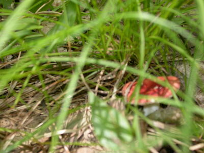 DSCN2412.jpg