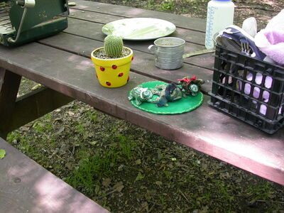 DSCN2417.jpg