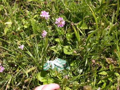 DSCN2418.jpg