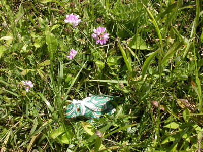 DSCN2419.jpg