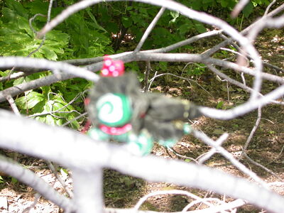 DSCN2423.jpg