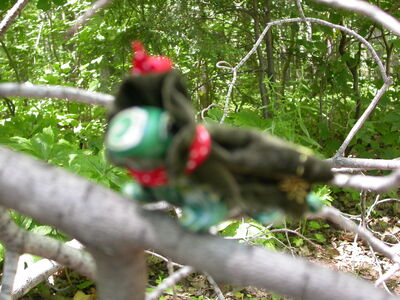 DSCN2424.jpg