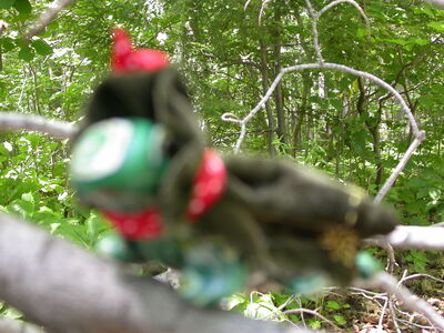 DSCN2425.jpg