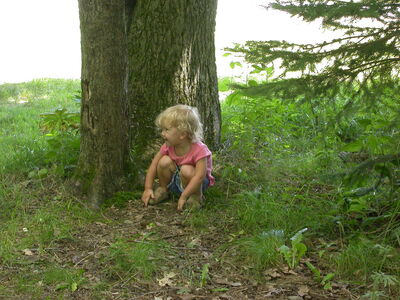 DSCN2427.jpg
