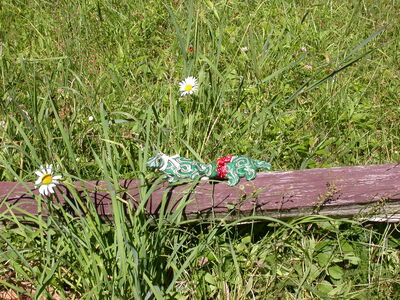 DSCN2438.jpg