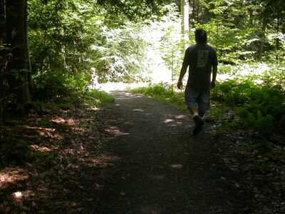 DSCN2441.jpg