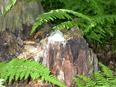 DSCN2443.jpg