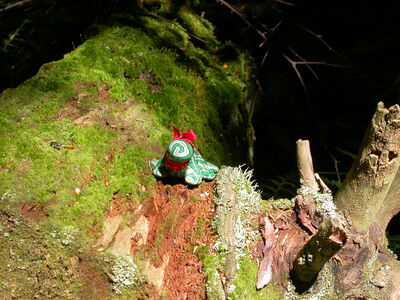 DSCN2444.jpg