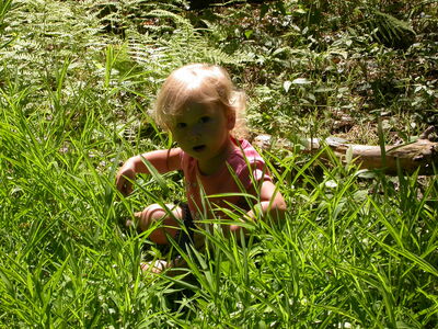 DSCN2448.jpg