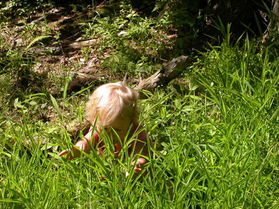 DSCN2449.jpg