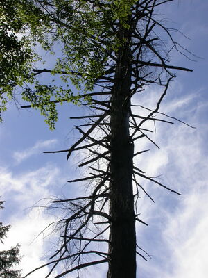 DSCN2450.jpg