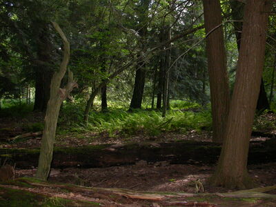 DSCN2452.jpg