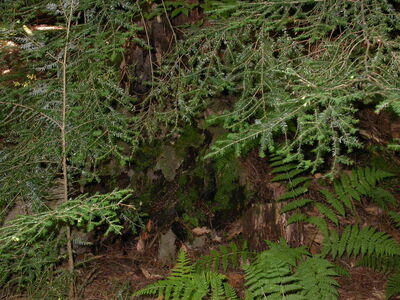 DSCN2454.jpg
