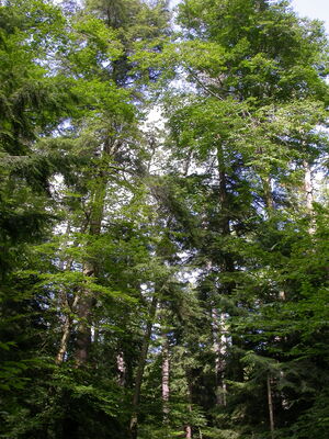 DSCN2456.jpg