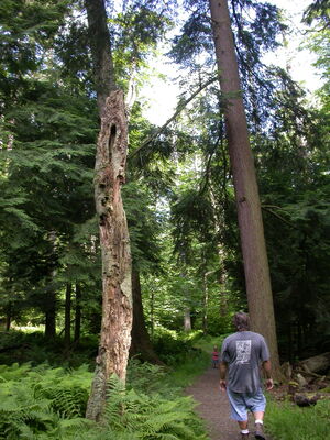 DSCN2457.jpg