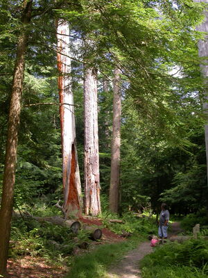 DSCN2458.jpg
