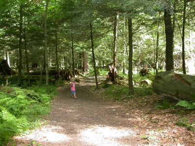DSCN2459.jpg