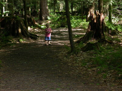 DSCN2460.jpg