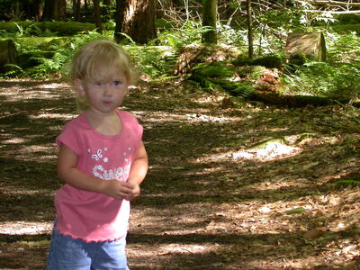 DSCN2461.jpg