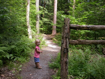 DSCN2463.jpg