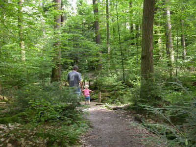 DSCN2465.jpg