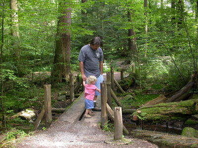 DSCN2466.jpg