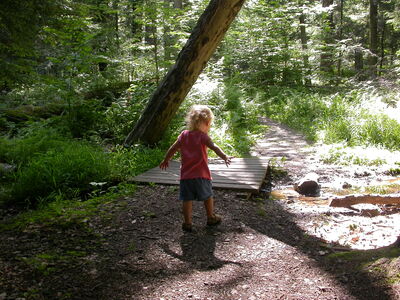 DSCN2469.jpg