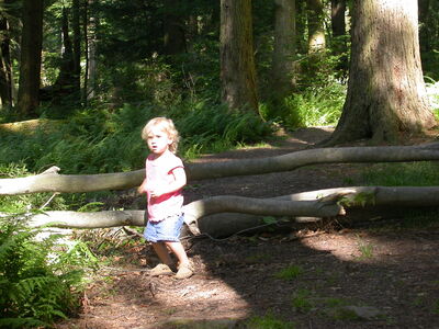 DSCN2471.jpg
