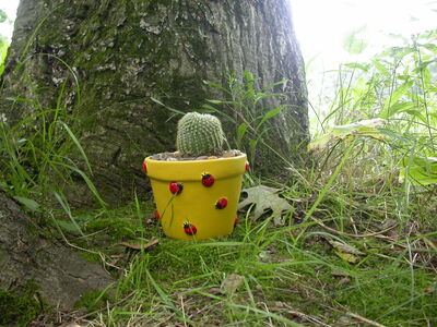 DSCN2483.jpg