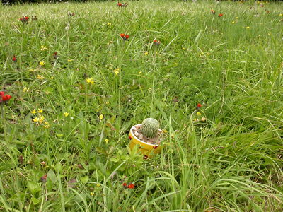 DSCN2486.jpg