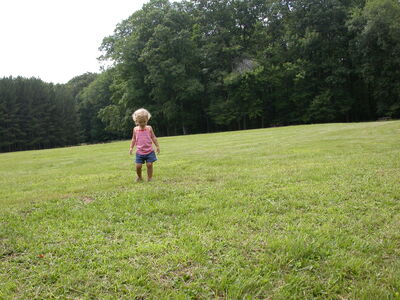 DSCN2487.jpg