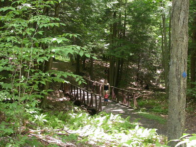 DSCN2490.jpg