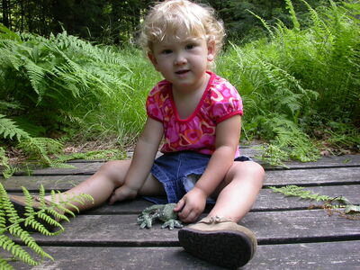 DSCN2491.jpg