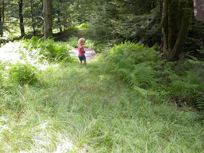 DSCN2492.jpg