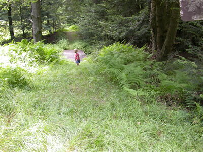 DSCN2493.jpg