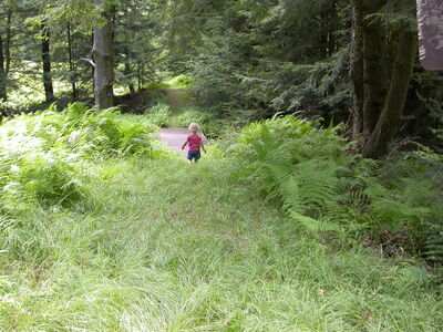 DSCN2494.jpg