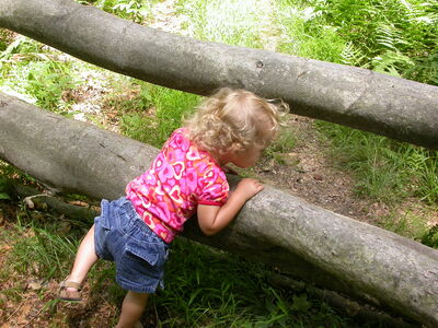 DSCN2496.jpg