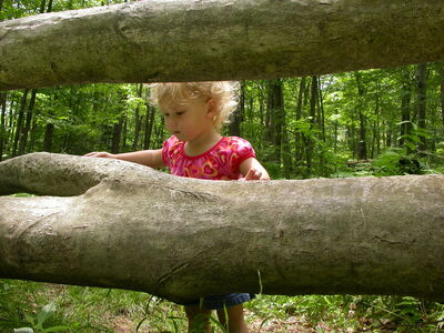 DSCN2497.jpg