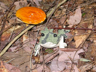 DSCN2498.jpg