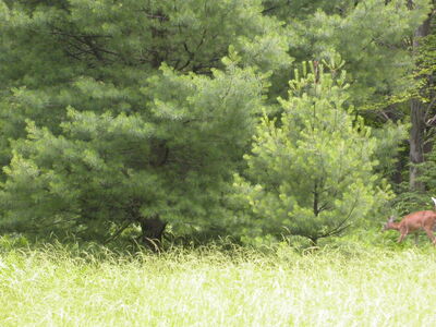 DSCN2506.jpg