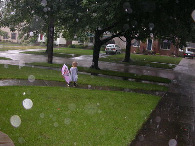 DSCN2508.jpg
