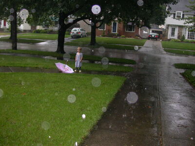 DSCN2509.jpg