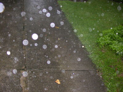 DSCN2510.jpg