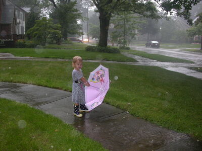 DSCN2511.jpg