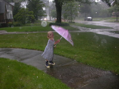 DSCN2512.jpg