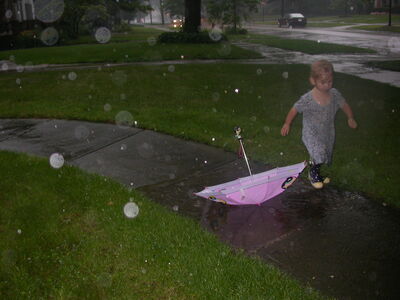 DSCN2513.jpg